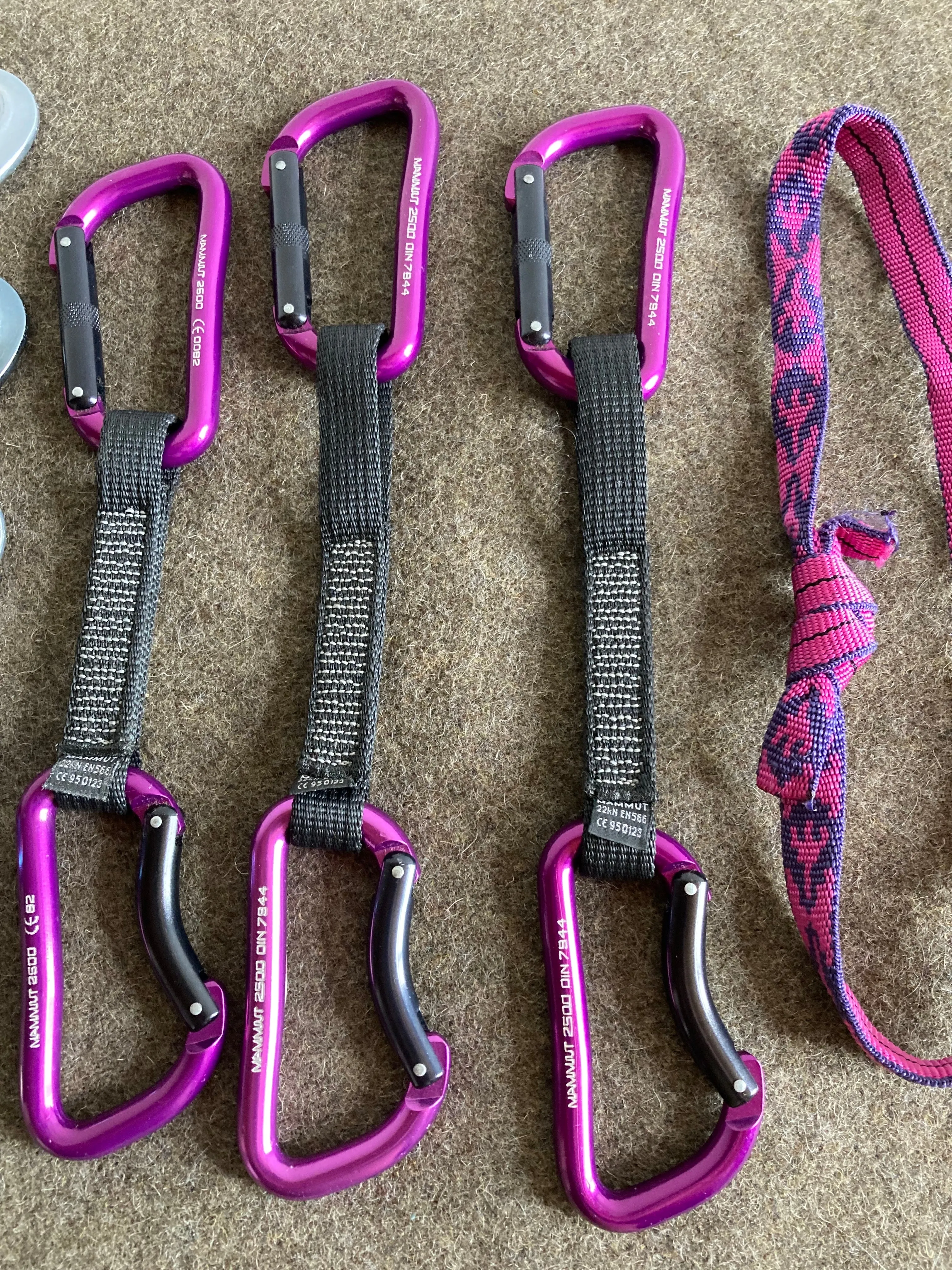 Accessories, Mountaineering, Selection of Harnesses, carabiners, and ascension devices (* This is sold as a complete assembly.)