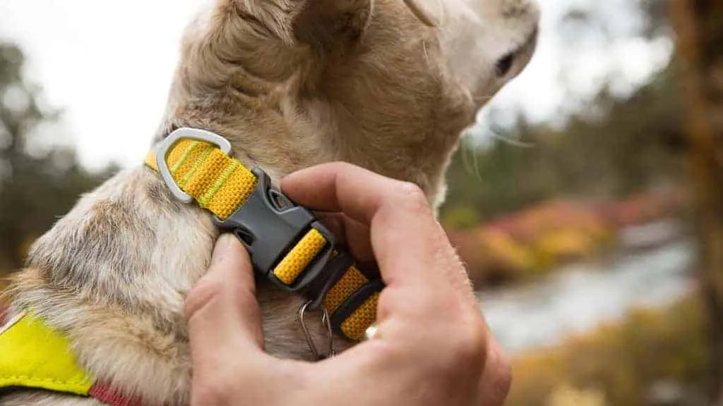 Hi & Light Dog Collar - Lightweight & Secure