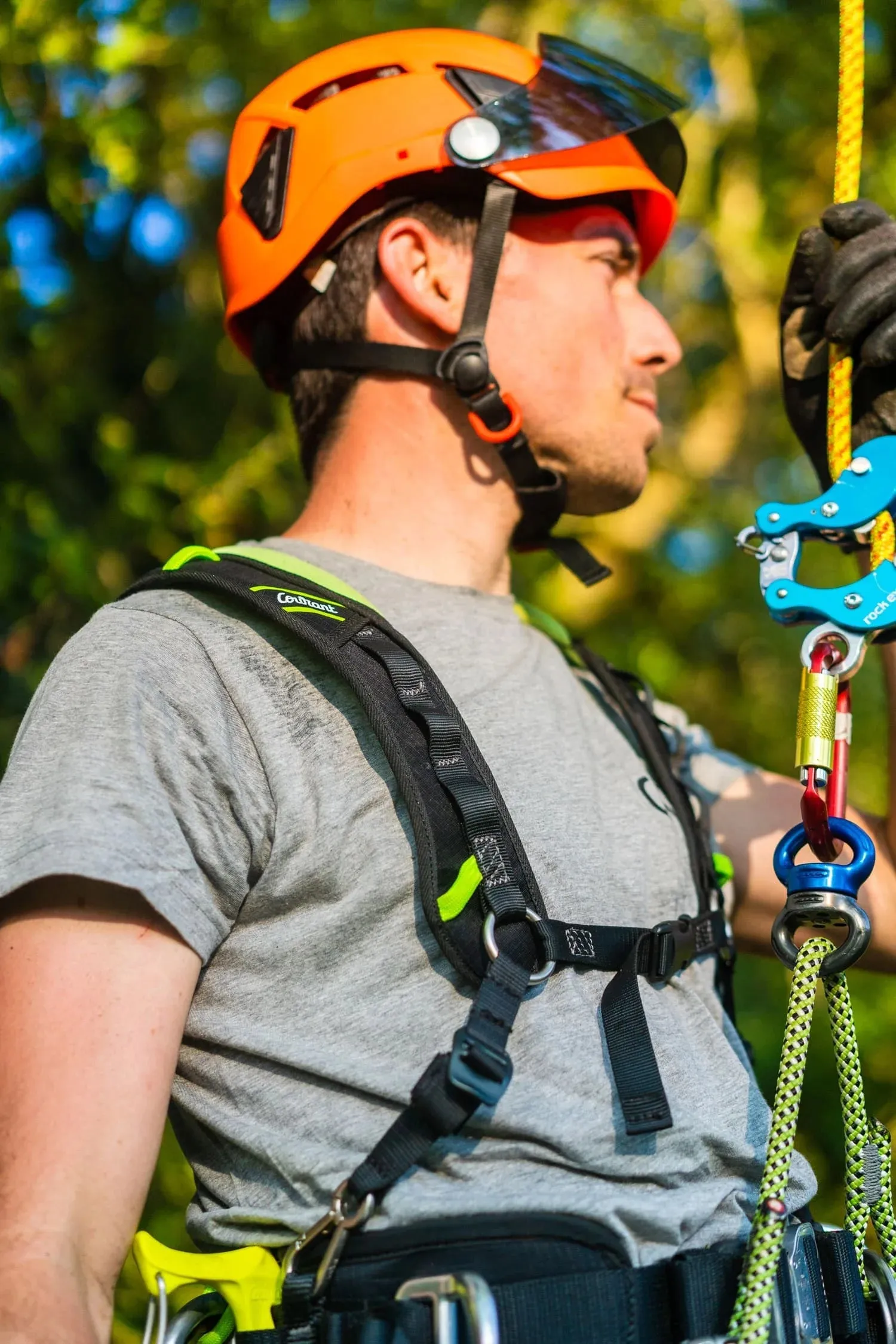 Koala Chest Harness