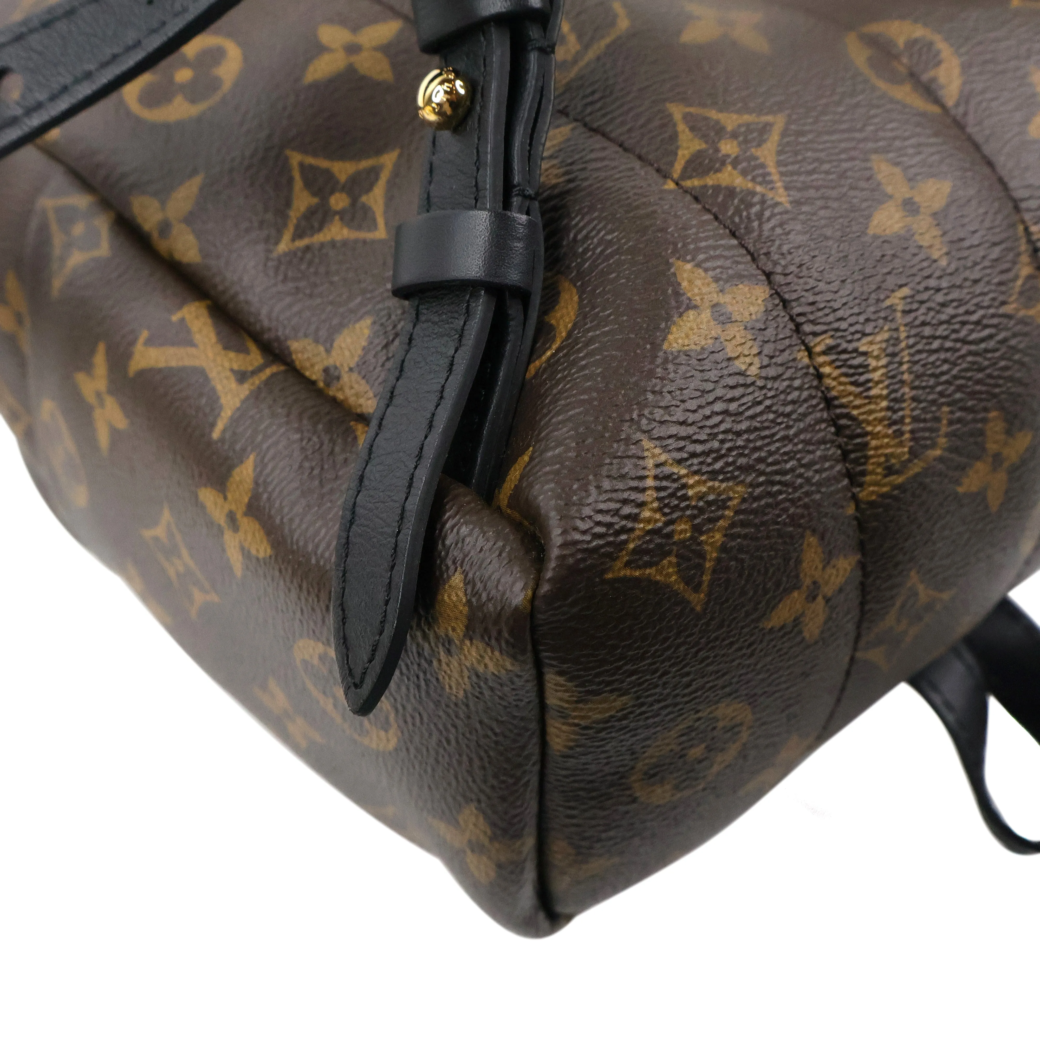 Louis Vuitton Monogram Palm Springs Backpack PM
